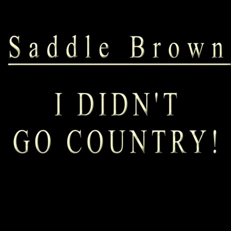 I Didn't Go Country! | Boomplay Music