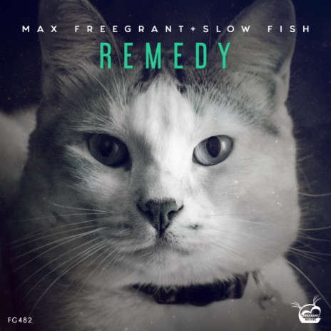Remedy ft. Slow Fish