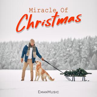 Miracle Of Christmas