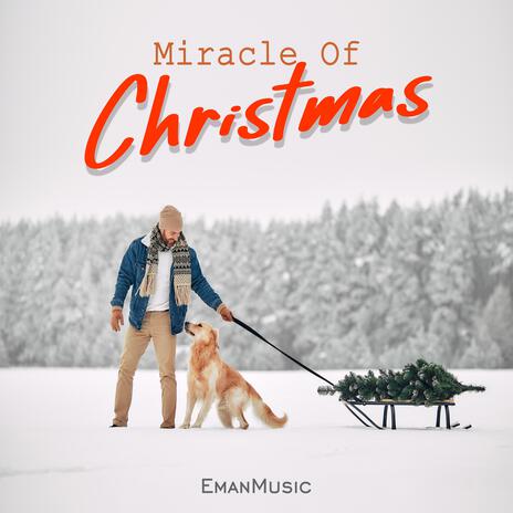 Miracle Of Christmas | Boomplay Music