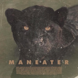 Maneater lyrics | Boomplay Music