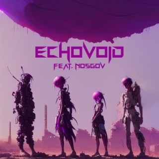 echovoid