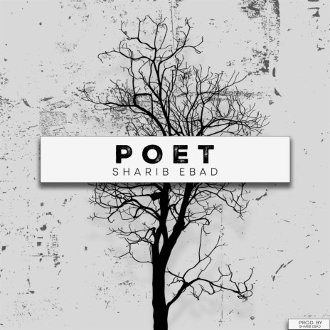 Poet | Boomplay Music