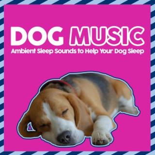 Dog Music - Ambient Sleep Sounds to Help Your Dog Sleep