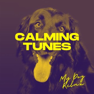 Calming Tunes to Relieve Your Dog's Worry and Tension