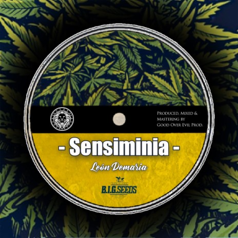 Sensiminia ft. Good Over Evil | Boomplay Music
