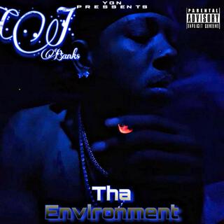 THA ENVIRONMENT