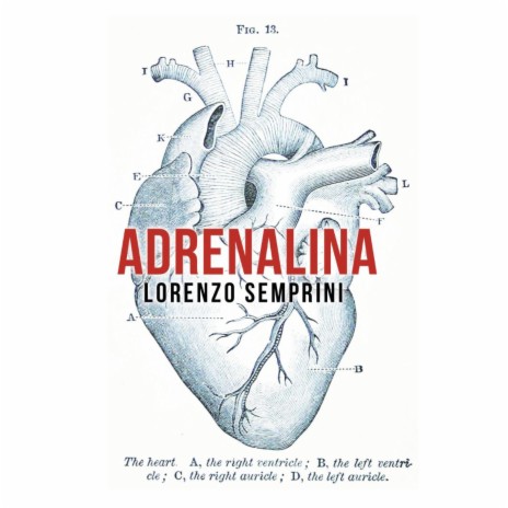 Adrenalina (Alternative take) | Boomplay Music