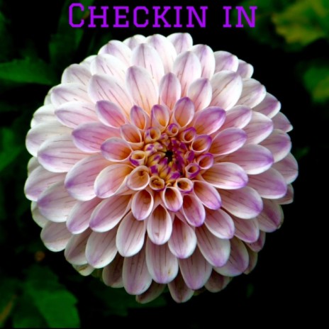 Checkin in | Boomplay Music