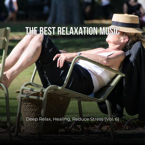 The Best Relaxation Music: Deep Relax, Healing, Reduce Stress, Vol. 6 | Boomplay Music