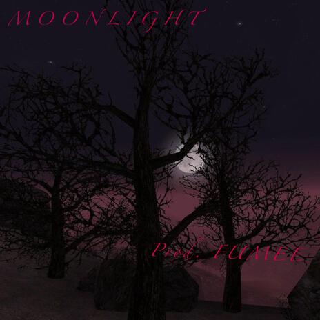 Moonlight | Boomplay Music