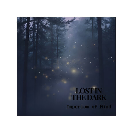 Lost in the Dark | Boomplay Music