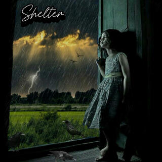 Shelter