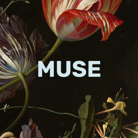 Muse | Boomplay Music