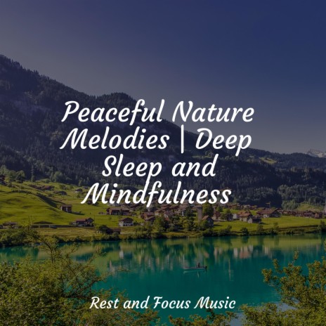 Sounds of Silence | Boomplay Music