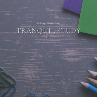 Tranquil Study: Ambient Music for Effective Learning