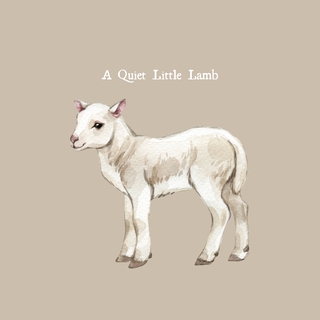 A Quiet Little Lamb