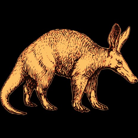 Aardvark | Boomplay Music