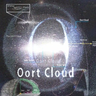 The Oort Cloud