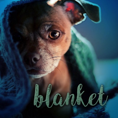 Blanket ft. Kiko King & Nico Kleihn | Boomplay Music