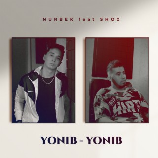 Yonib Yonib