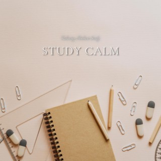 Study Calm: Ambient Music for Peaceful Focus