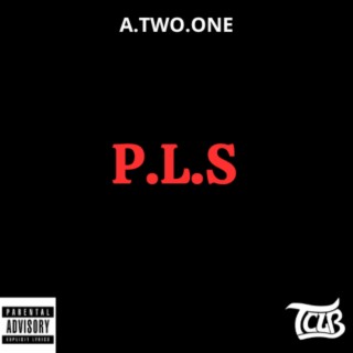 P.L.S lyrics | Boomplay Music