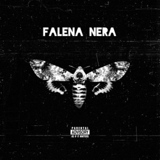 Falena Nera lyrics | Boomplay Music