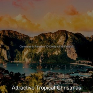 Attractive Tropical Christmas