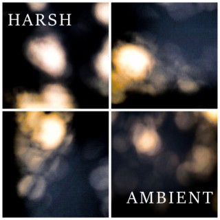 Harsh Ambient