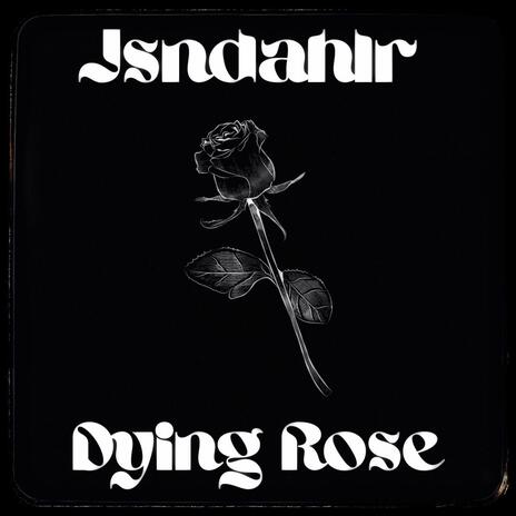 Dying Rose