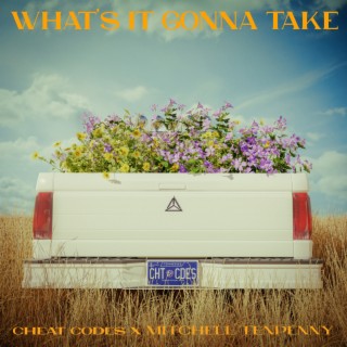 What's It Gonna Take ft. Mitchell Tenpenny lyrics | Boomplay Music