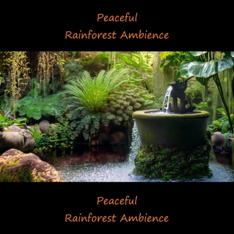 Peaceful Rainforest Ambience, Pt. 1 | Boomplay Music