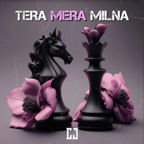 Tera Mera Milna | Boomplay Music