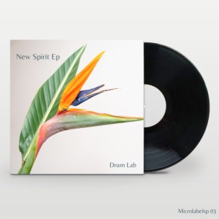 New Spirit