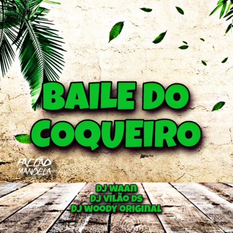 Baile do Coqueiro ft. DJ WAAN & DJ WOODY ORIGINAL | Boomplay Music