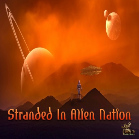 Stranded In Alien Nation