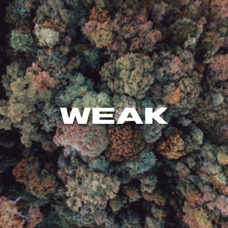 Weak | Boomplay Music