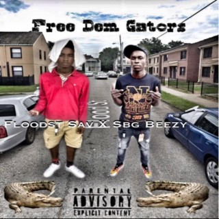 Free Dem Gators