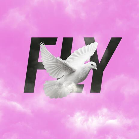 FLY | Boomplay Music