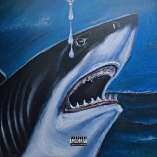 When Sharks Cry