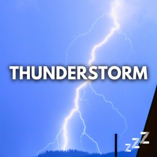 Strong Thunderstorm Artis (Loop, No Fade)