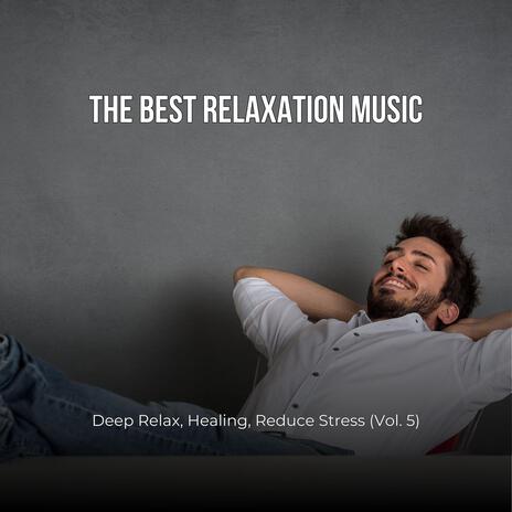 The Best Relaxation Music: Deep Relax, Healing, Reduce Stress, Vol. 5 | Boomplay Music