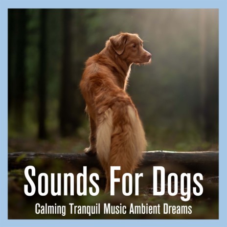 Wagging Tails ft. Dog Music Therapy & Dog Music