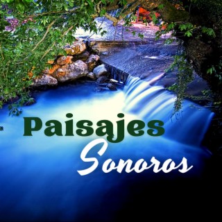 Paisajes Sonoros: Música de Relajación con Sonidos Ambientales