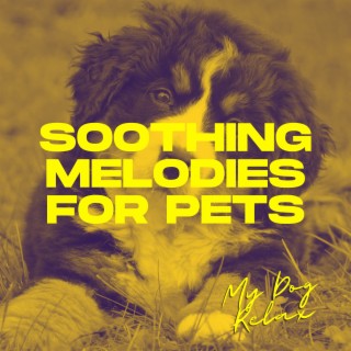 Soothing Melodies for Pets: Slumber Tunes for Dogs and Comforting Canine Sounds