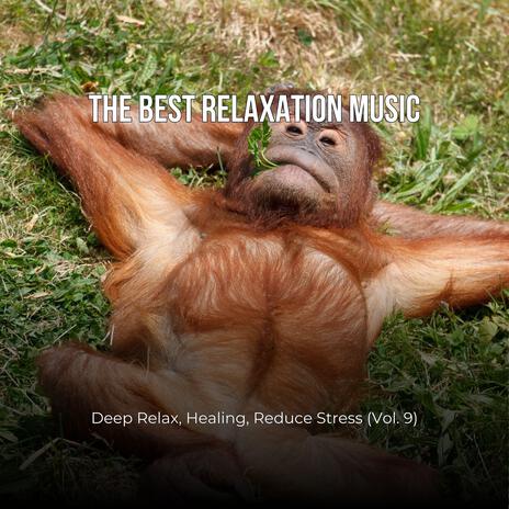 The Best Relaxation Music: Deep Relax, Healing, Reduce Stress, Vol. 9 | Boomplay Music