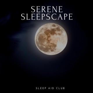 Serene Sleepscape: Gentle Ambient Chill