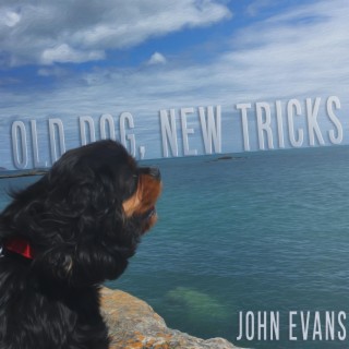 Old Dog, New Tricks