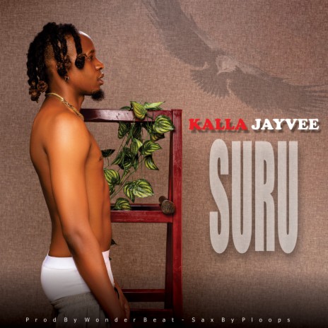 Suru | Boomplay Music